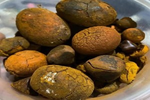 OX GALLSTONES from Cameroon